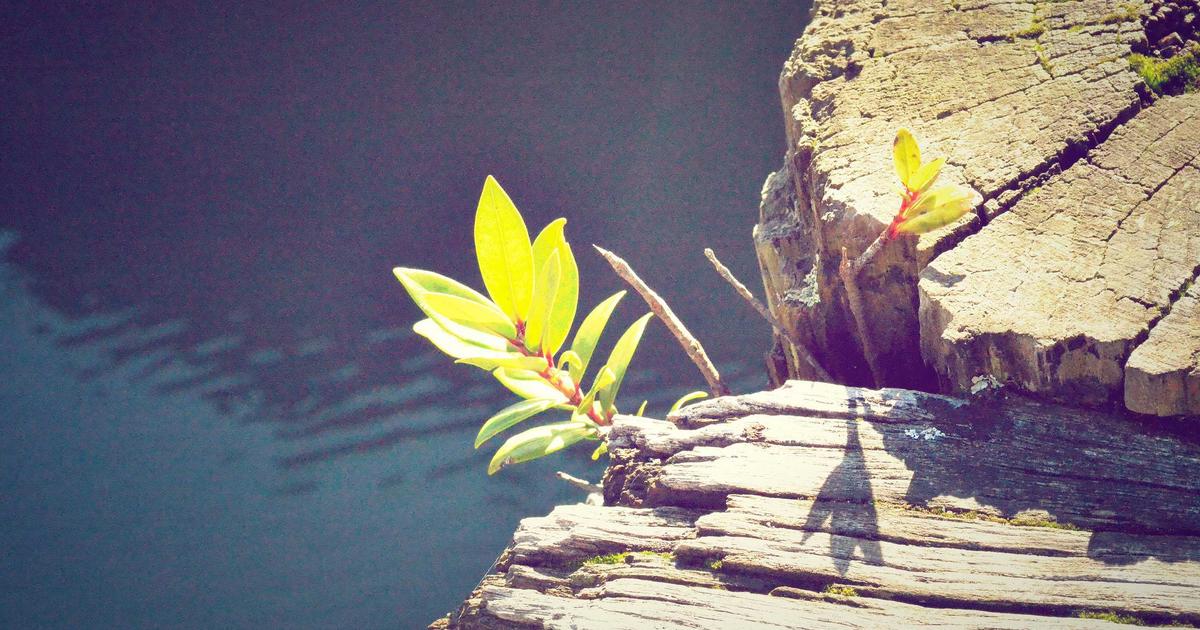 Crear juegos XR para Meta Quest usando agentes de IA Claude y Antigravity